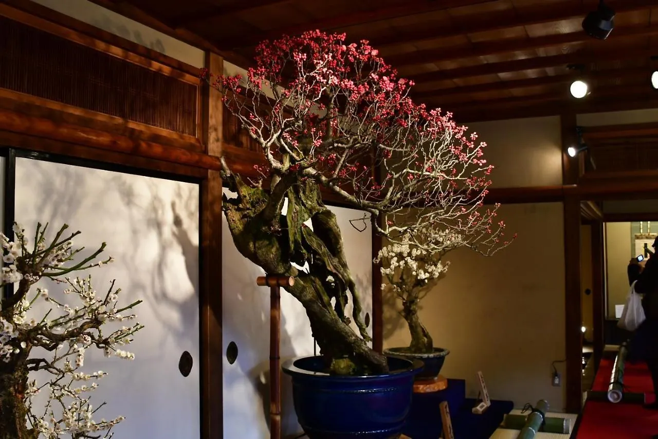 公寓 京都Cozy House 8, Free Wifi A Rented Electric Bicycle公寓
